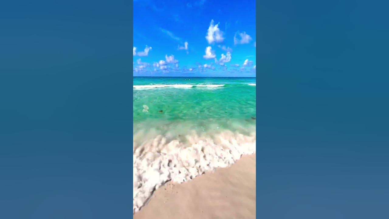 The ebb flow of life 🌊 #30a #beach #southwalton #nature #emeraldcoast