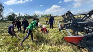 Trúng Mánh Chuột Cống Nhum Khổng Lồ Bất Ngờ Xuất Hiện - | Hunting | - TT2080