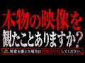 ⚠︎放送事故レベル!そこにいるのは本物だ!