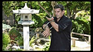 Wing Chun Ring Trailer 2017 #wingchun #kungfu #martialarts