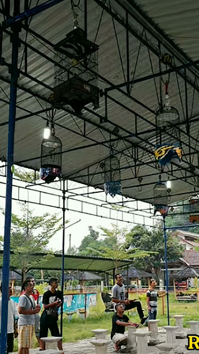 SIMULASI LOMBA PLECI MELATIH MENTAL PLECI