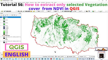 How to extract only selected Vegetation cover  from NDVI in QGIS