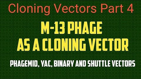 M-13 Bacteriophage as a cloning Vector, Cloning Vectors Part- 04. Phagemid, Shuttle,Binary vectors