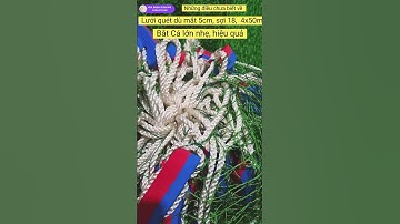 Những điều chưa biết về Lưới Quét Cá Dù 4x50m, Mắt 5cm – Bắt Cá Lớn Hiệu Quả, Nhẹ Tay | #shorts