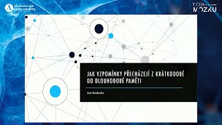 Týden mozku 2024 - Jak vzpomínky přecházejí z krátkodobé do dlouhodobé paměti