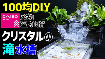 水槽ダイソーの小物でできるレイアウト Mp3