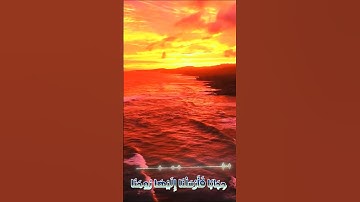 سورة مريم و،،كا.نك تسمعها لأ،.و.ل مر.ة🌼💗💜،.💮🏵️❤️🌻بصوت الشيخ حمزة مد؛بو.ح 🏵️،💚🌹؛؛💕💛،؛💓💞