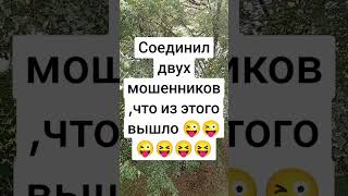 видео: #мошенникивсети #приколы #юмор #рекомендации #смех #ржака  картинка: #мошенникивсети #приколы #юмор #рекомендации #смех #ржака