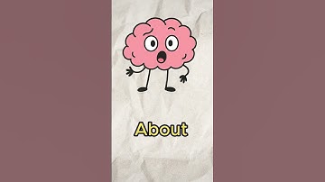 Your Gut Has a Mind of Its Own?! 😳 (The Second Brain Explained)