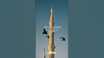 وَأَنَّ الْمَسَاجِدَ لِلَّهِ فَلَا تَدْعُوا مَعَ اللَّهِ أَحَدًا   - سورة الجن ١٨ -   روائع التلاوات