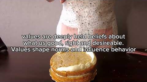 soc 101 video assignment