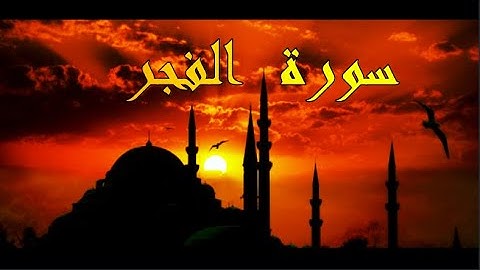 سورة الفجر للشيخ عنتر يااحبابي🥀