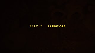 Video thumbnail of "Capicua - "Passiflora" feat Camané"