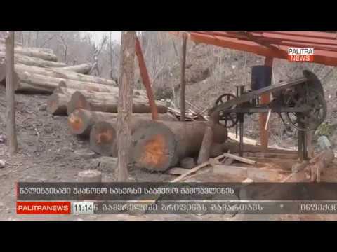 წალენჯიხაში უკანონო სახერხი საამქრო გამოავლინეს