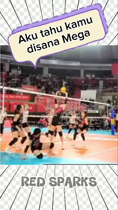 Park Eun Jin memberi umpan manja buat Mega #mega #eunjin #redsparks #volleyball #korea #vleague