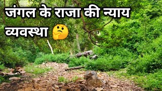 [3]नेवला मारने की भी इतनी सज़ा।