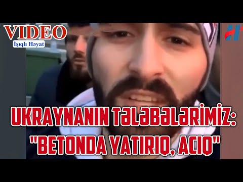 Video: Kakšne barve je deževni gozd Hyundai?