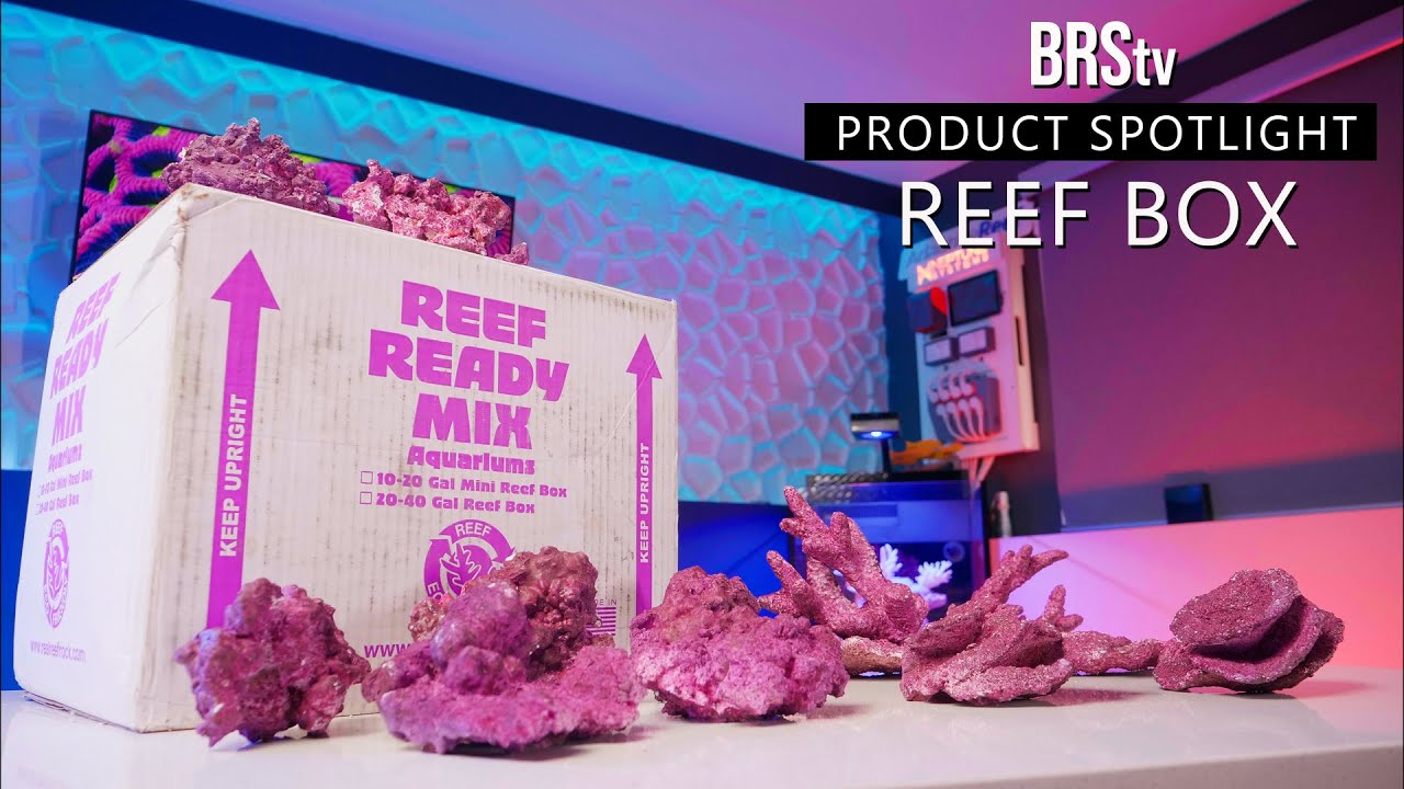 A FULL Saltwater Tank Aquascape in a Box! Real Reef Solutions Reef