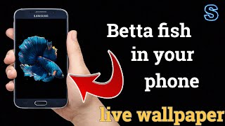 Android betta fish live wallpaper for your phone screenshot 3