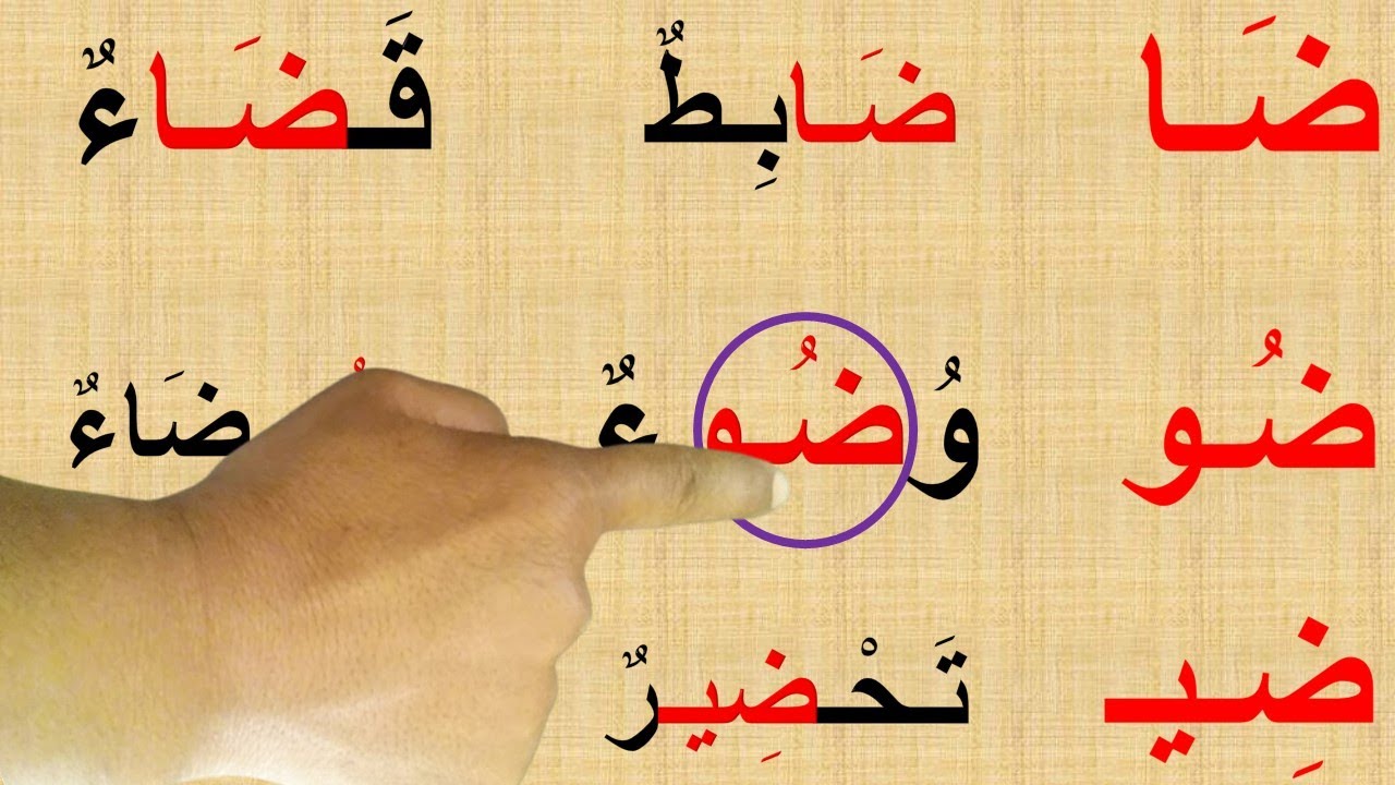 تعلّم واقرأ / حرف الضاد مع الحركات القصيرة والحركات الطويلة - YouTube