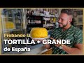 LA TORTILLA MÁS GRANDE DE ESPAÑA [Pesa + de 5 KG]