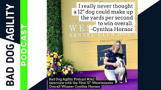 342: Interview with the First 12' Westminster Overall Winner Cynthia Hornor by Bad Dog Agility 146 views 8 days ago 50 minutes