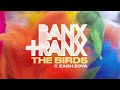 Banx  ranx feat zach zoya  the birds audio
