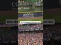 Brewers fans we so disappointed after this catch 😅 #mlb #baseball #brewers