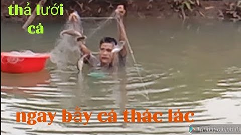 thả lưới cá mùa nước, và cái kết