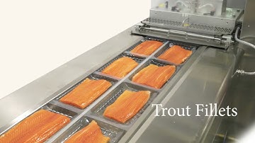 Ossid ReeForm E40 - Seafood Packaging