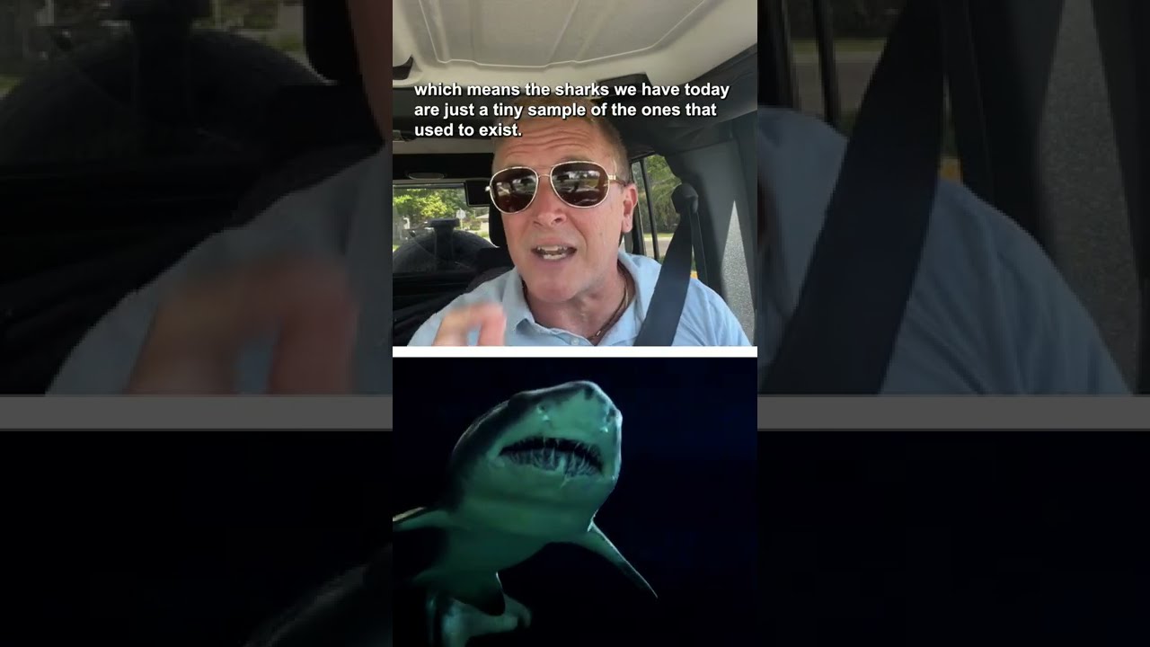 Sharks nearly went extinct 19 million years ago #shorts