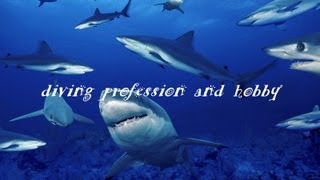 Нападение акулы. Shark Diving in Gansbaai, South Africa wmv