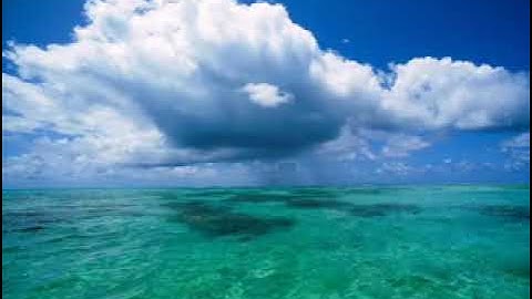 سورة الكهف بصوت الشيخ وليد عاطف