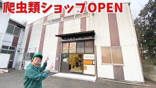 神奈川県に新しくオープンした爬虫類ショップに潜入してみた