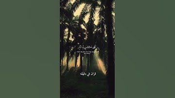 قران كريم ارح قلبك وسمعك #قران_في_دقيقة #صلاح_الباجي #quran #قرآن @قران_في_دقيقه