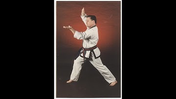 Tang Soo Do Videos #8 & #9