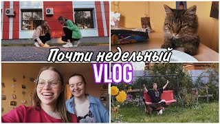 #VLOG/ Прогулка на Нефтестрое/ День рождения собаки/ Ночевка с подругой/ Василиса Васильченко