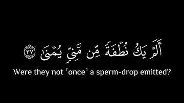 أَيَحسَبُ الإِنسانُ أَن يُترَكَ سُدًى || كروما قران كريم شاشة سوداء || جابر القيطان
