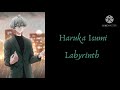 [Haruka Isumi] Labyrinth (Kan/Rom/Eng/Por Lyrics)