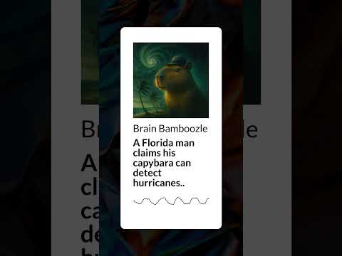 A Florida man claims his capybara can detect hurricanes.. | Brain Bamboozle