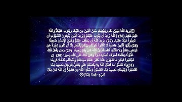 القارئ عزت الله سيف #سورة_ النساء من 24 الى 32  Surat Al Nisa'