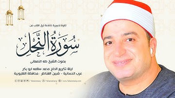 تلاوة تحبيرية خاشعة ترق القلب من « سورة النحل » بصوت الشيخ طه النعمانى | شبين القناطر : القليوبية 🤎