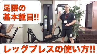 下半身を鍛える基本種目!レッグプレスの正しい使い方　初心者向け