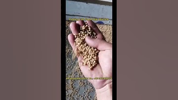 Affordable and Cost Effective Floating Fish Food Pellet Maker for Fish Feed Pellets Making #fishfeed