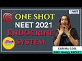 Endocrine System | One Shot | NEET Biology | Garima Goel