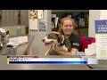 Paws Humane Society remains in a capacity crisis