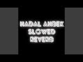 Hadal ahbek slowed reverb remix