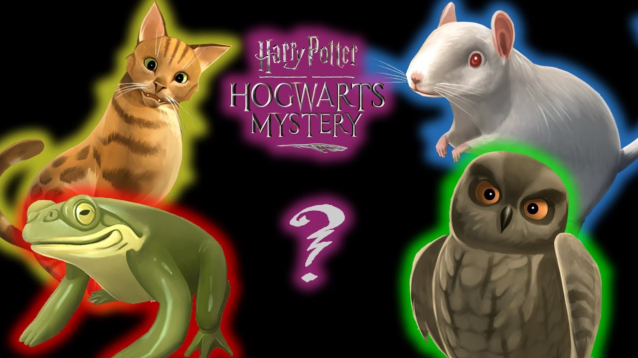 I got a PET! Hogwarts Mystery Sidekick! YouTube