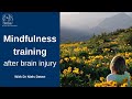 Mindfulness training after brain injury with Dr Niels Detert