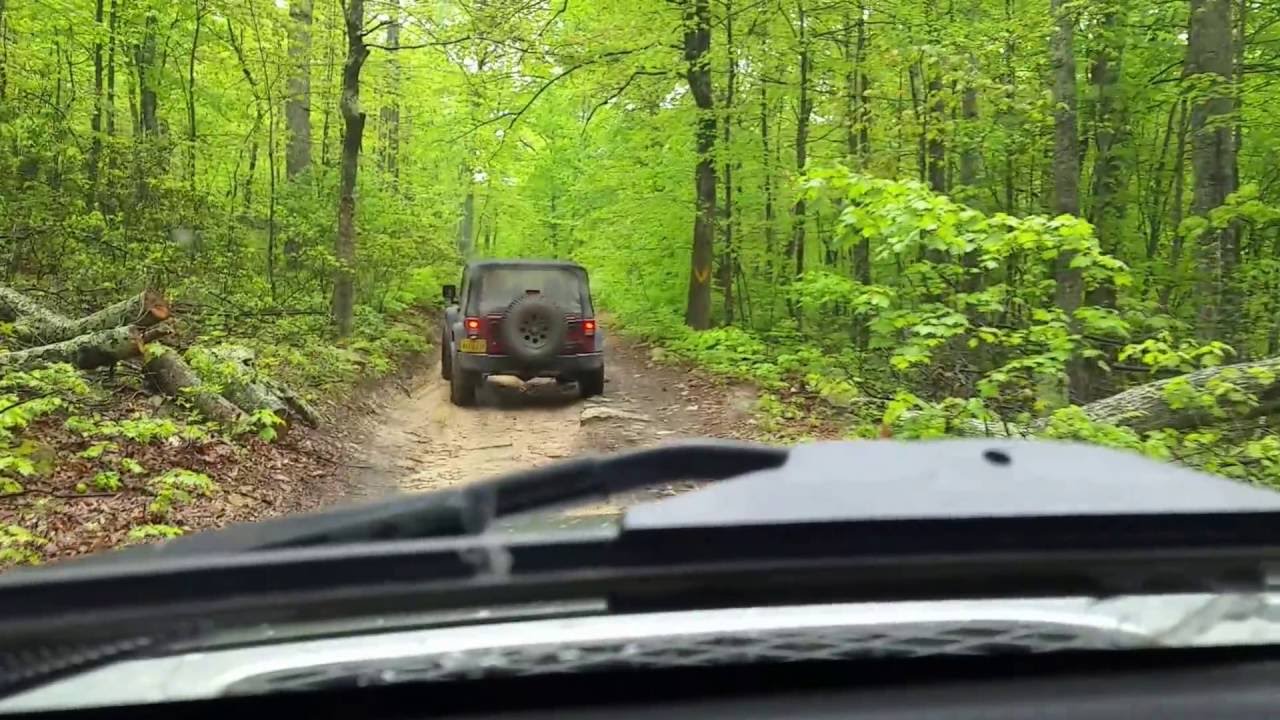 FJ 4Runner Jeep trail ride in national forest